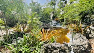 A lush garden fountain surrounded by mature tropical plants and stonework, with a religious statue overlooking the water, showing the established landscape of the Garden of Our Lord before proposed redevelopment.
