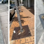 Coral Gables advances plan for downtown maintenance program with assessment on property owners
