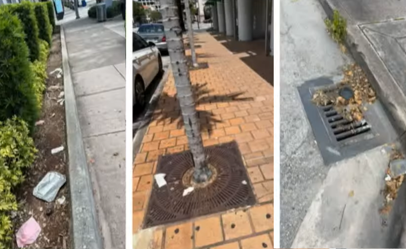 Three side-by-side images show litter on a sidewalk, a tree surrounded by worn paving, and debris clogging a street drain in a downtown commercial area.