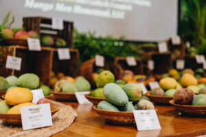 Baskets of mangos in different colors and sizes displayed on a table with small variety labels at Fairchild Tropical Botanic Garden.