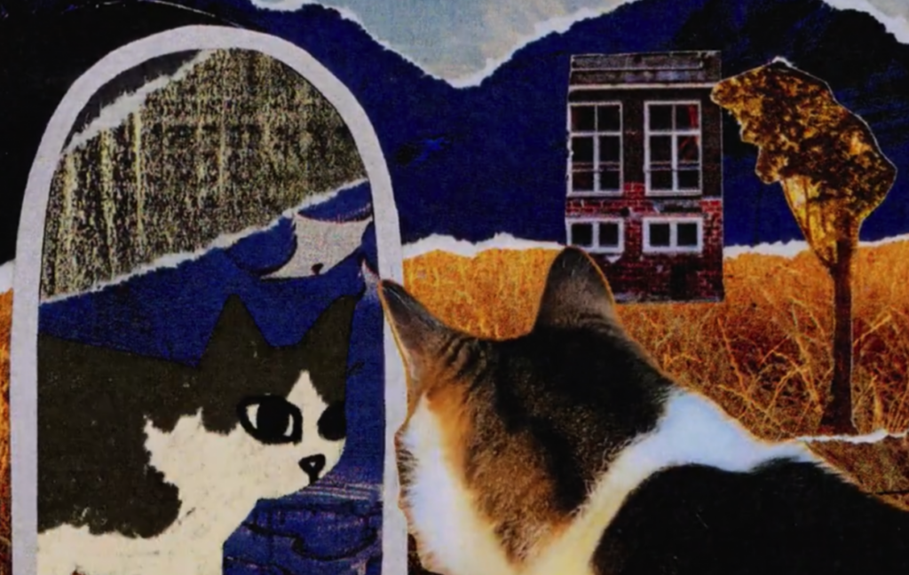 Collage-style image of a cat facing a black-and-white cat in a mirror, with a small building and tree set against an orange-and-blue landscape in the background.
