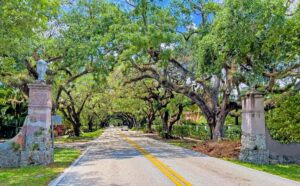 Mature trees form a dense canopy over a residential street in Coral Gables, with historic stone entrance pillars in the foreground.