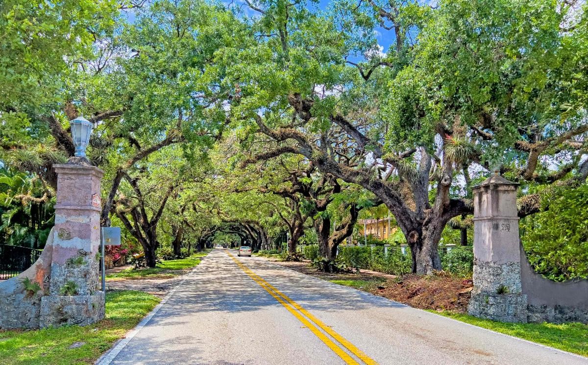 Mature trees form a dense canopy over a residential street in Coral Gables, with historic stone entrance pillars in the foreground.
