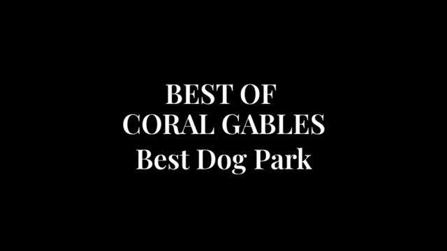 Best-Dog-Park