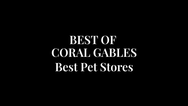 Best-Pet-Stores