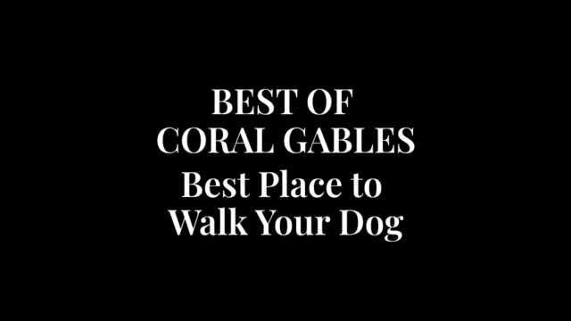 Best-Place-to-Walk-Your-Dog