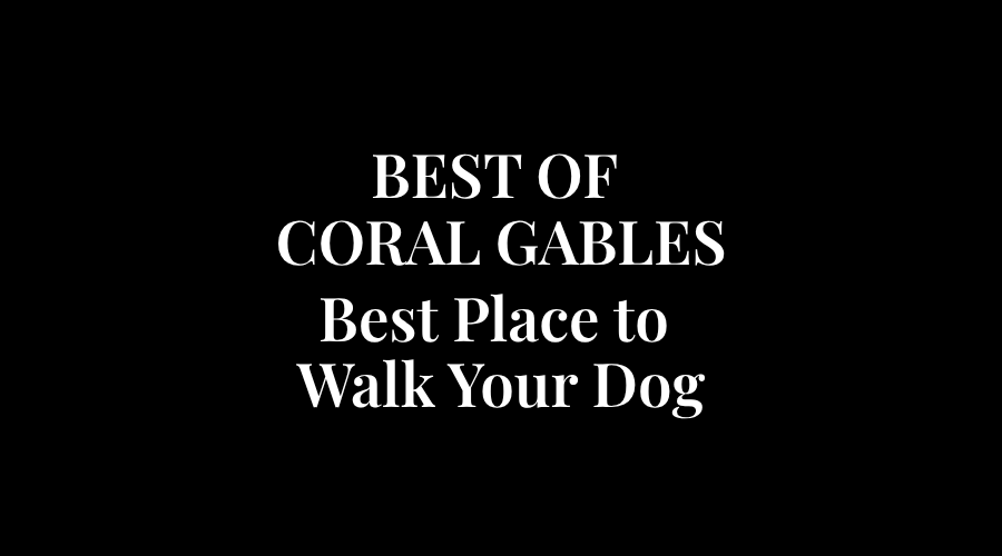 Best-Place-to-Walk-Your-Dog