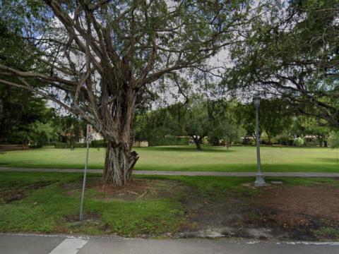 View of the grassy city-owned property at 440 University Drive in Coral Gables, with mature trees, a sidewalk and a streetlight.