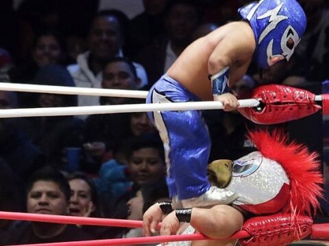 Two masked little-person Lucha Libre wrestlers compete in a wrestling ring as spectators watch from the background.
