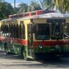 Coral Gables Southern Loop trolley with red, green and cream exterior traveling along a palm-lined street.